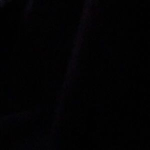 Meet your Posher, Roy